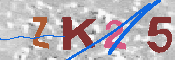 キャプチャ画像