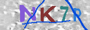 キャプチャ画像