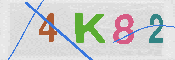キャプチャ画像