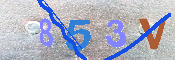 キャプチャ画像