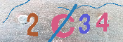 キャプチャ画像