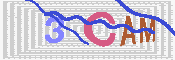 キャプチャ画像
