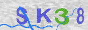 キャプチャ画像