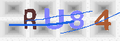 キャプチャ画像