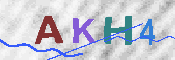 キャプチャ画像