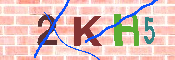 キャプチャ画像