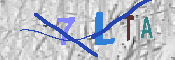 キャプチャ画像