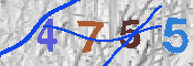 キャプチャ画像