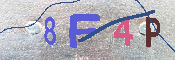 キャプチャ画像