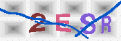 キャプチャ画像