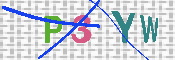 キャプチャ画像