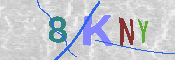 キャプチャ画像