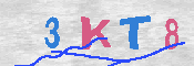 キャプチャ画像