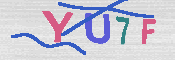 キャプチャ画像