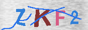 キャプチャ画像