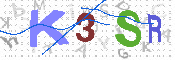 キャプチャ画像
