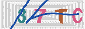 キャプチャ画像