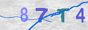 キャプチャ画像