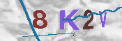 キャプチャ画像