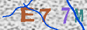 キャプチャ画像