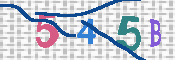 キャプチャ画像