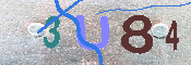 キャプチャ画像