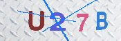 キャプチャ画像