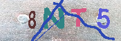 キャプチャ画像