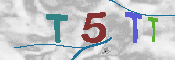 キャプチャ画像
