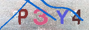 キャプチャ画像
