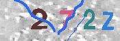 キャプチャ画像