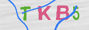 キャプチャ画像