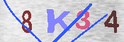 キャプチャ画像