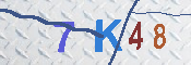 キャプチャ画像