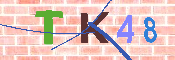 キャプチャ画像