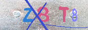 キャプチャ画像