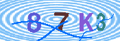 キャプチャ画像