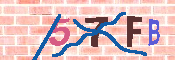 キャプチャ画像