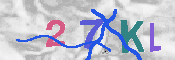 キャプチャ画像