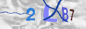 キャプチャ画像