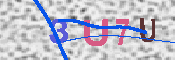 キャプチャ画像