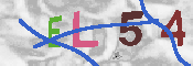 キャプチャ画像