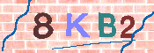 キャプチャ画像