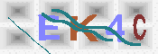 キャプチャ画像