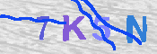 キャプチャ画像