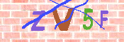 キャプチャ画像