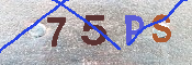 キャプチャ画像