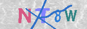 キャプチャ画像