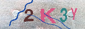 キャプチャ画像