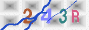 キャプチャ画像